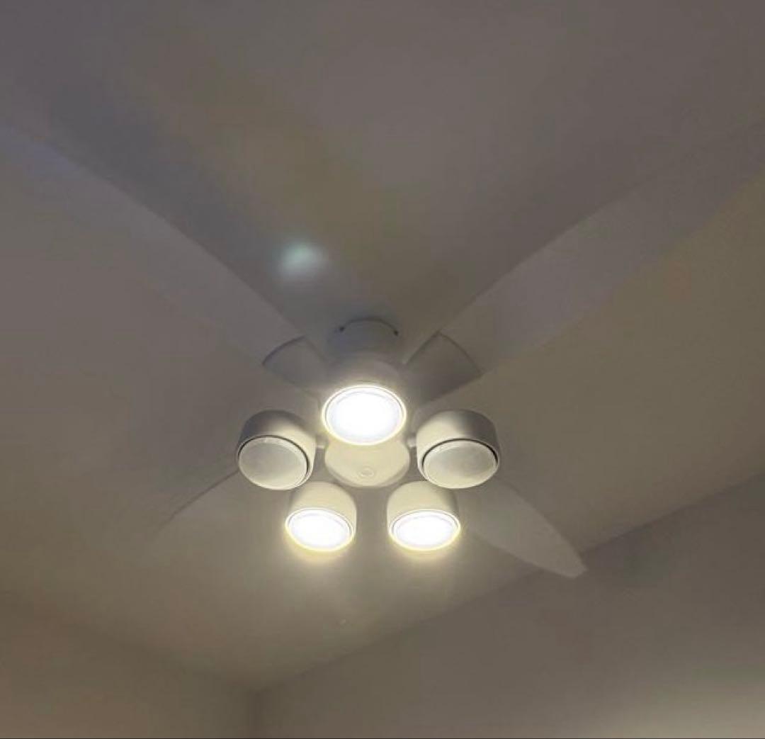 DAIKO シーリングファン＆ライト