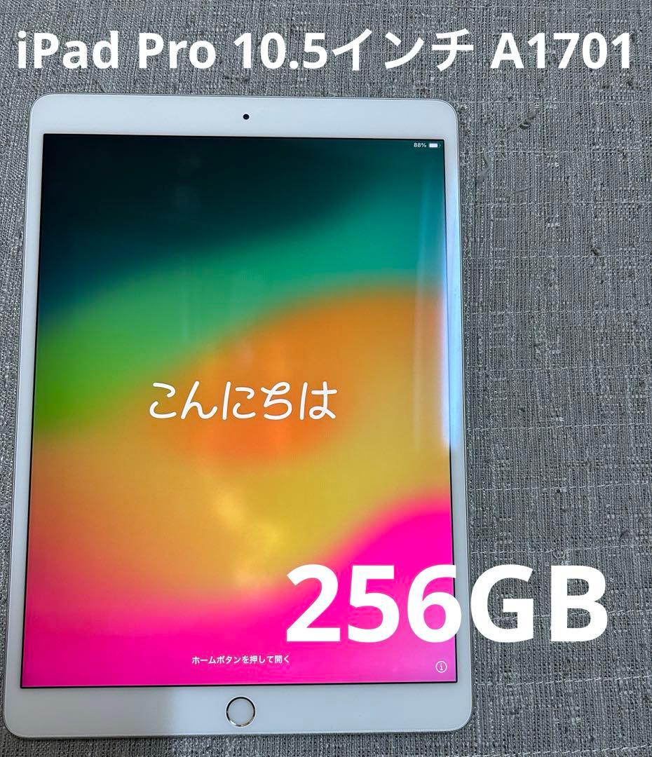 た*が様 iPad Pro 10.5 256GB Wi-Fi 2018/12購入