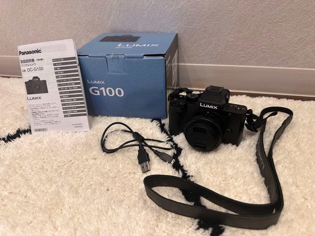 【美品】LUMIX G100／ファインダーひびあり・モニター撮影OK