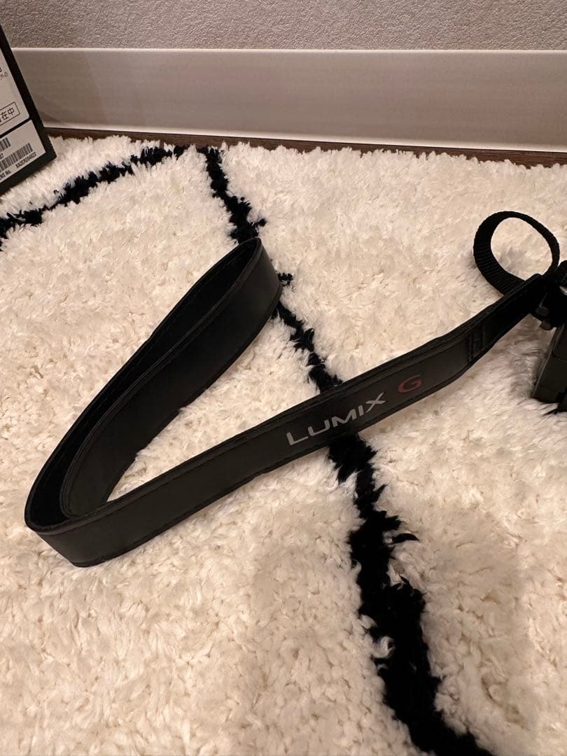 【美品】LUMIX G100／ファインダーひびあり・モニター撮影OK