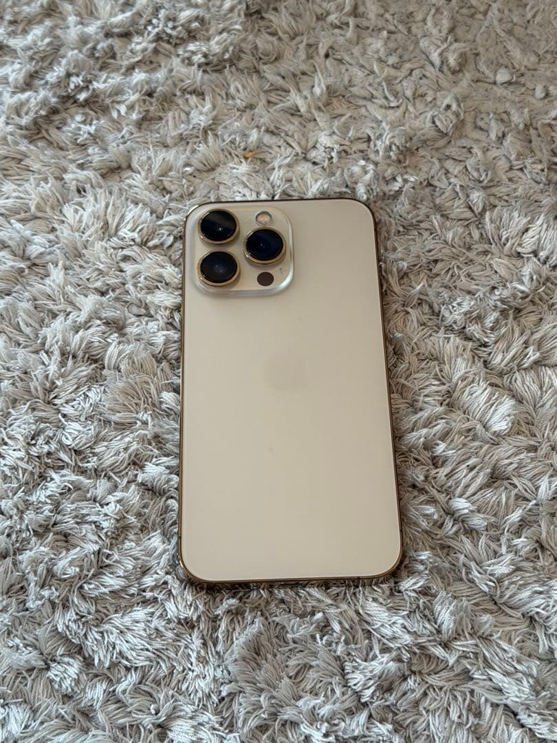 海外版シャッター音なし⭐️iPhone13pro 256GB