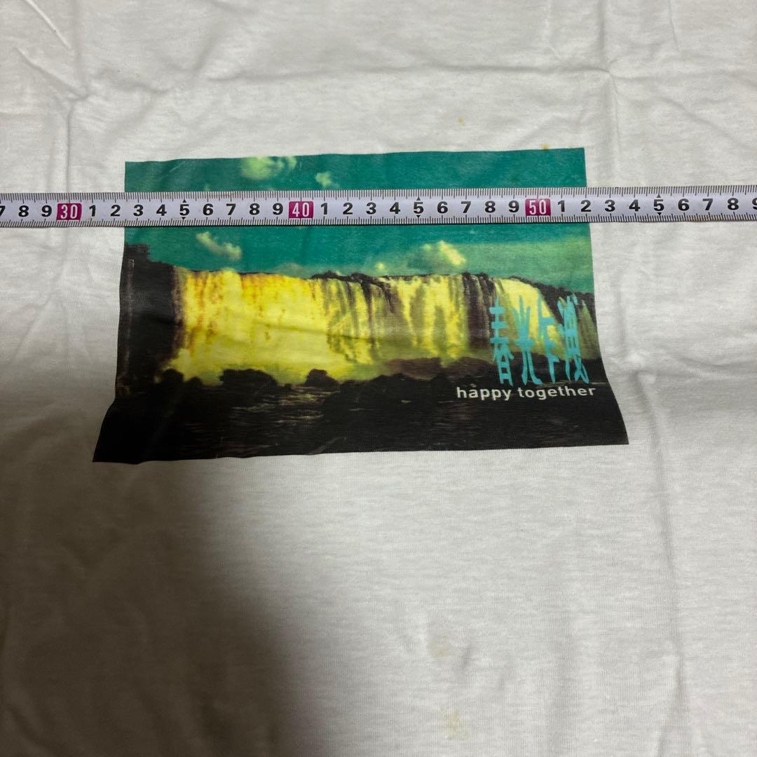 専用専用1997年の香港映画『ブエノスアイレス』（原題.春光乍洩Happy