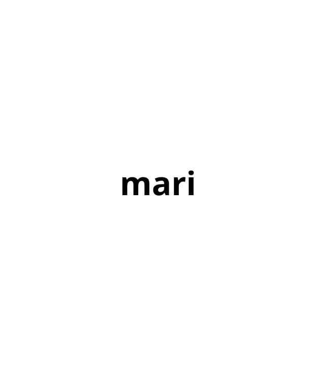 筆記具 mari