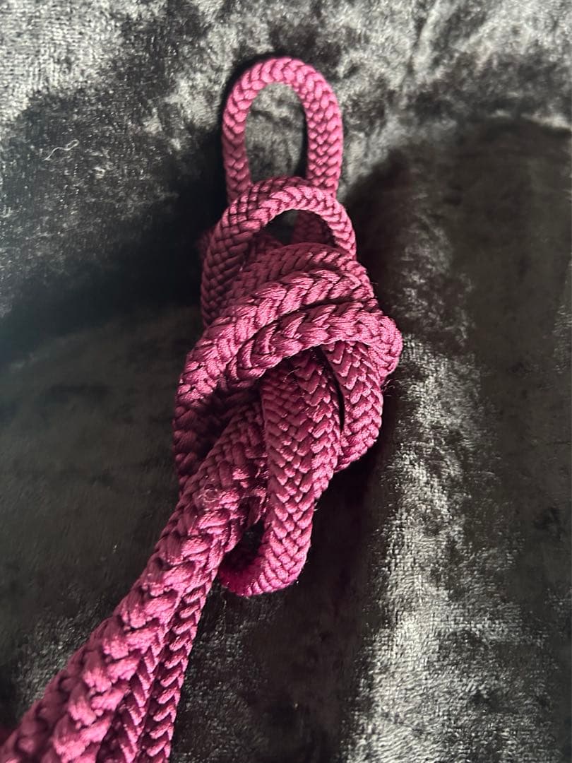 振袖セット　4点　葡萄色