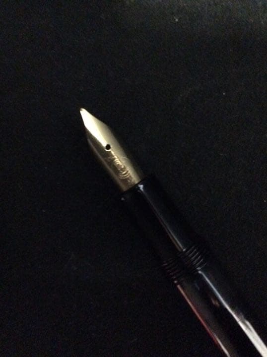 ペリカン万年筆ギュンターワーグナー(インク、ケース付)