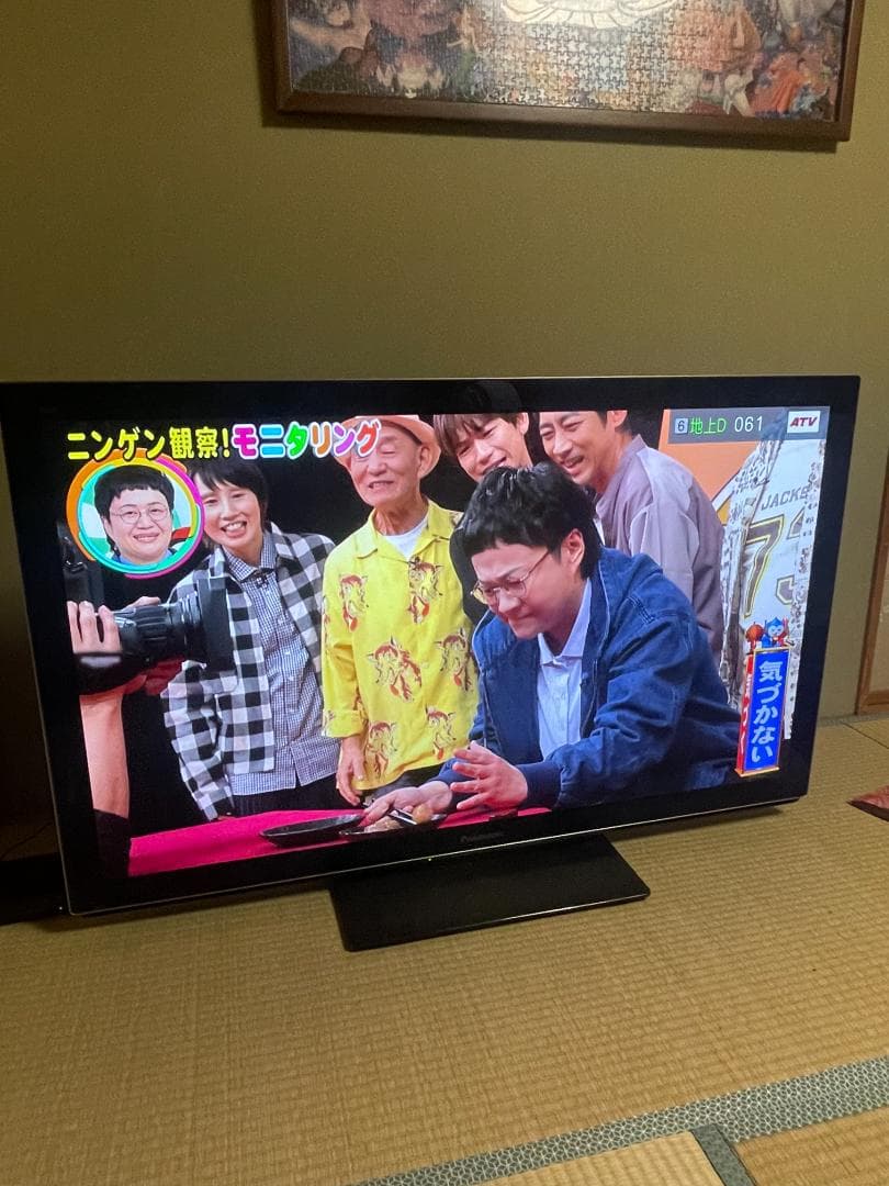 Panasonic VIERA TH-P50VT33 50インチ