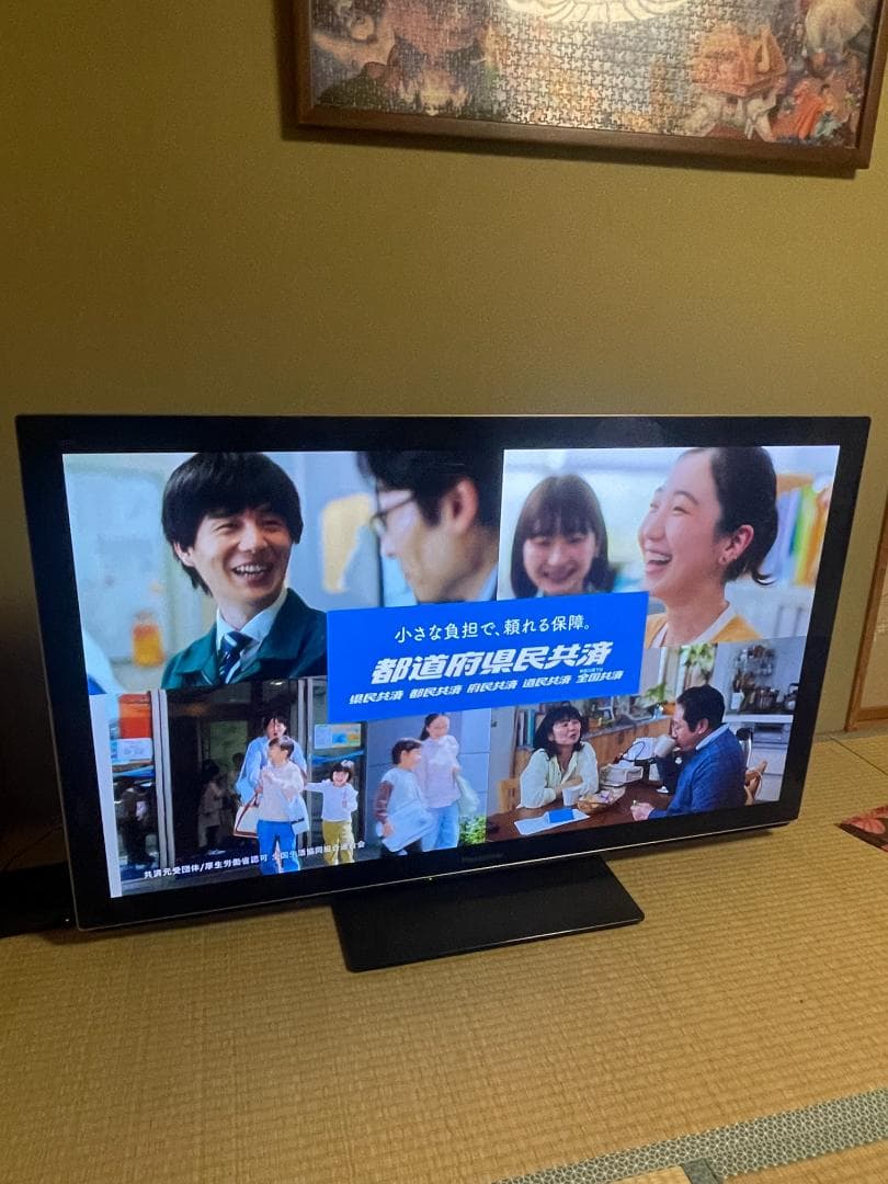 Panasonic VIERA TH-P50VT33 50インチ