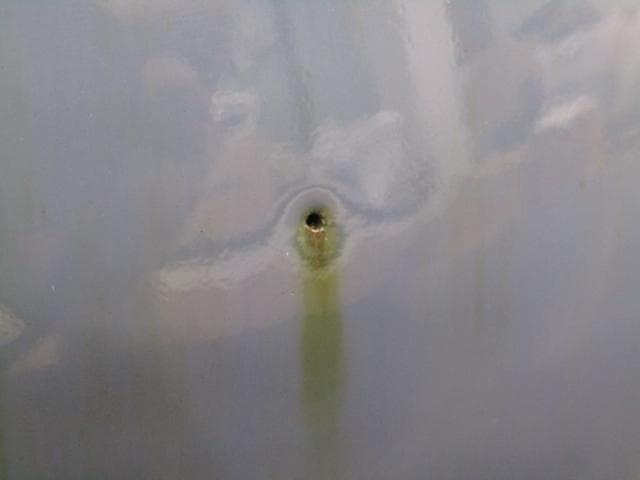 【未使用品】肥前伊万里焼 今里窯 六代 味鉄 花瓶 壺 NO2 共箱付