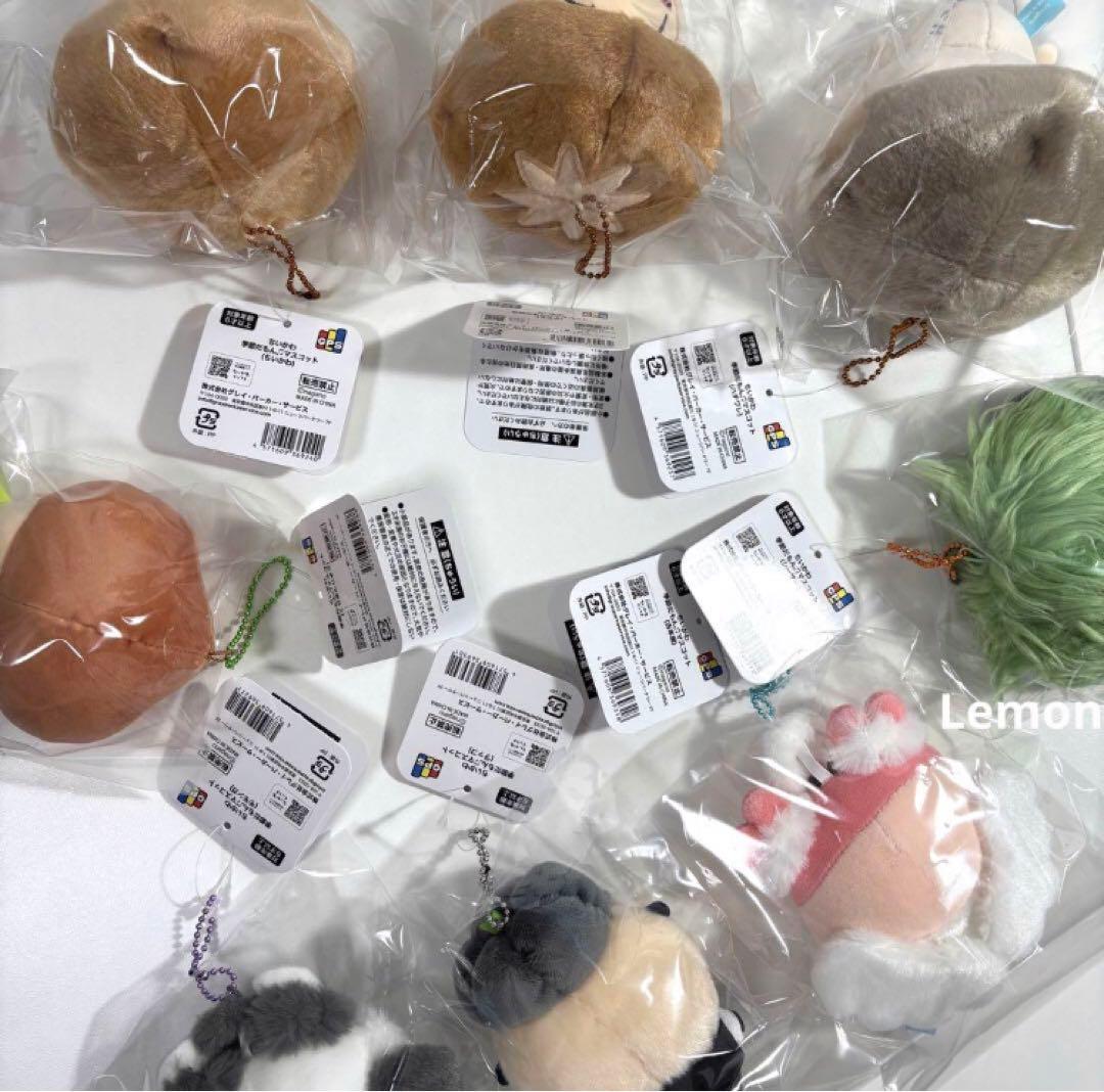 ちいかわ うさぎ ハロウィン 仮装 秋 季節 マスコット ぬいぐるみ ハチワレ