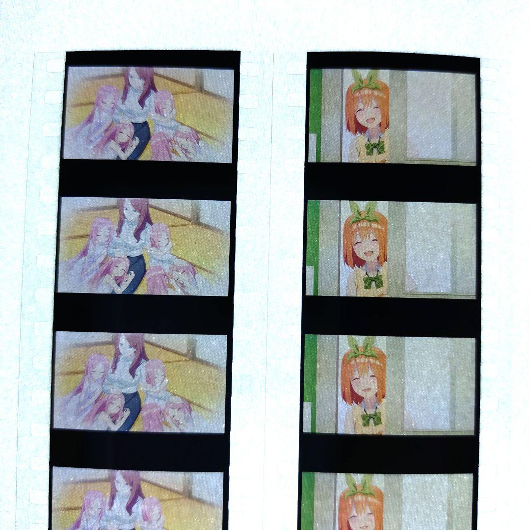 最終値下げ　貴重な五等分の花嫁 フィルム