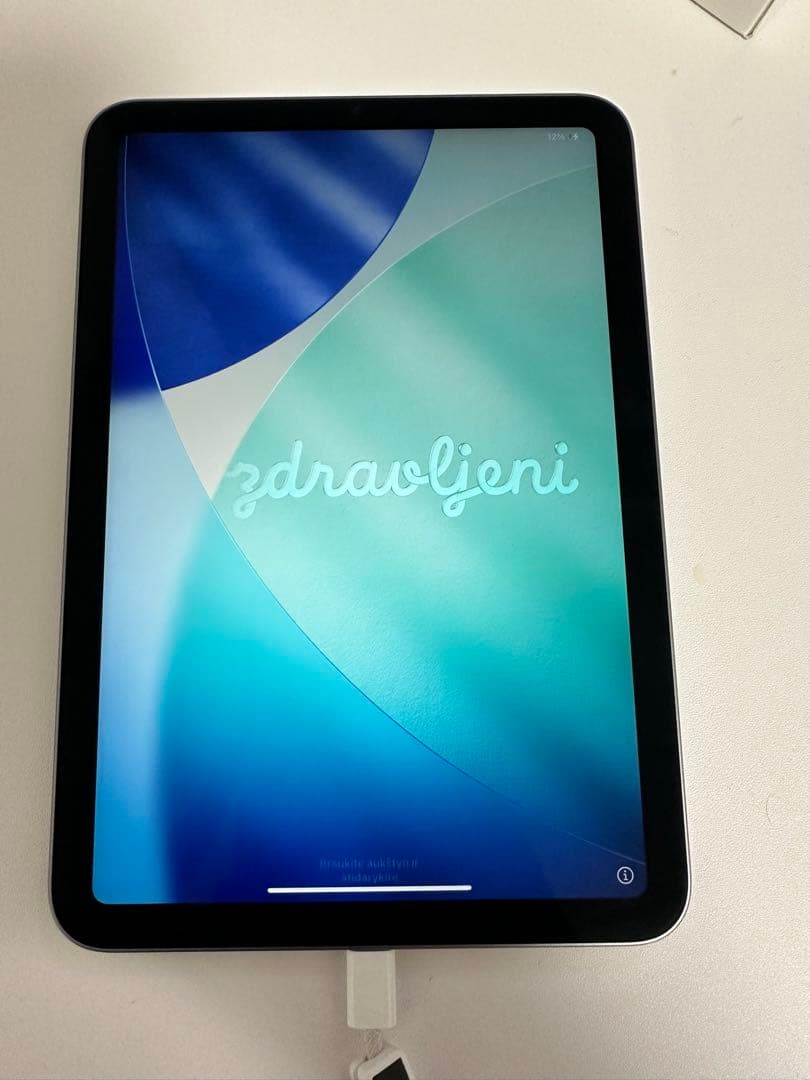 iPad本体 iPad mini7