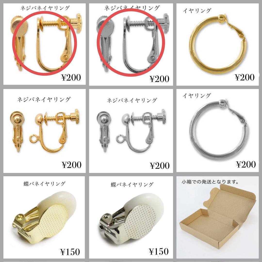 riii様 リクエスト 5点 まとめ商品（ネジバネイヤリング）