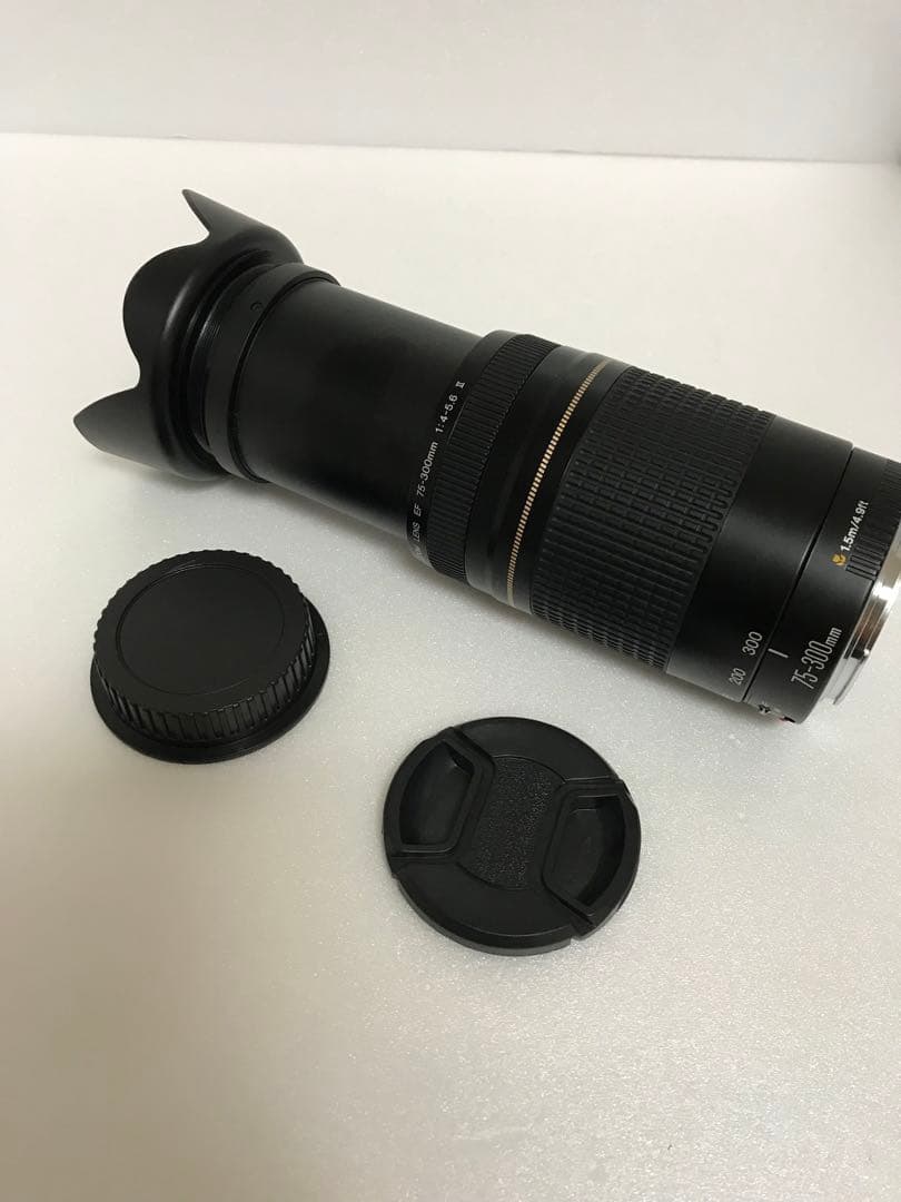 イベント/運動会/キャノン/Canon EF75-300㎜ F4-5.6 II