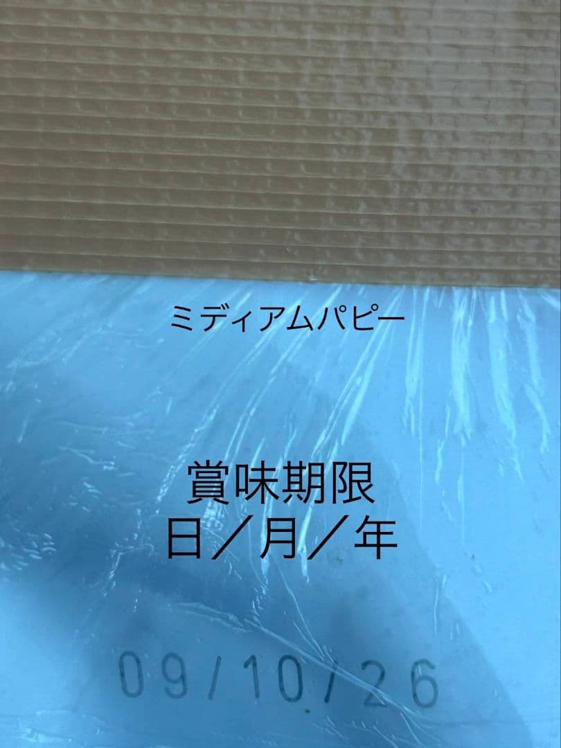  CANIN ミディアムパピー 16kg