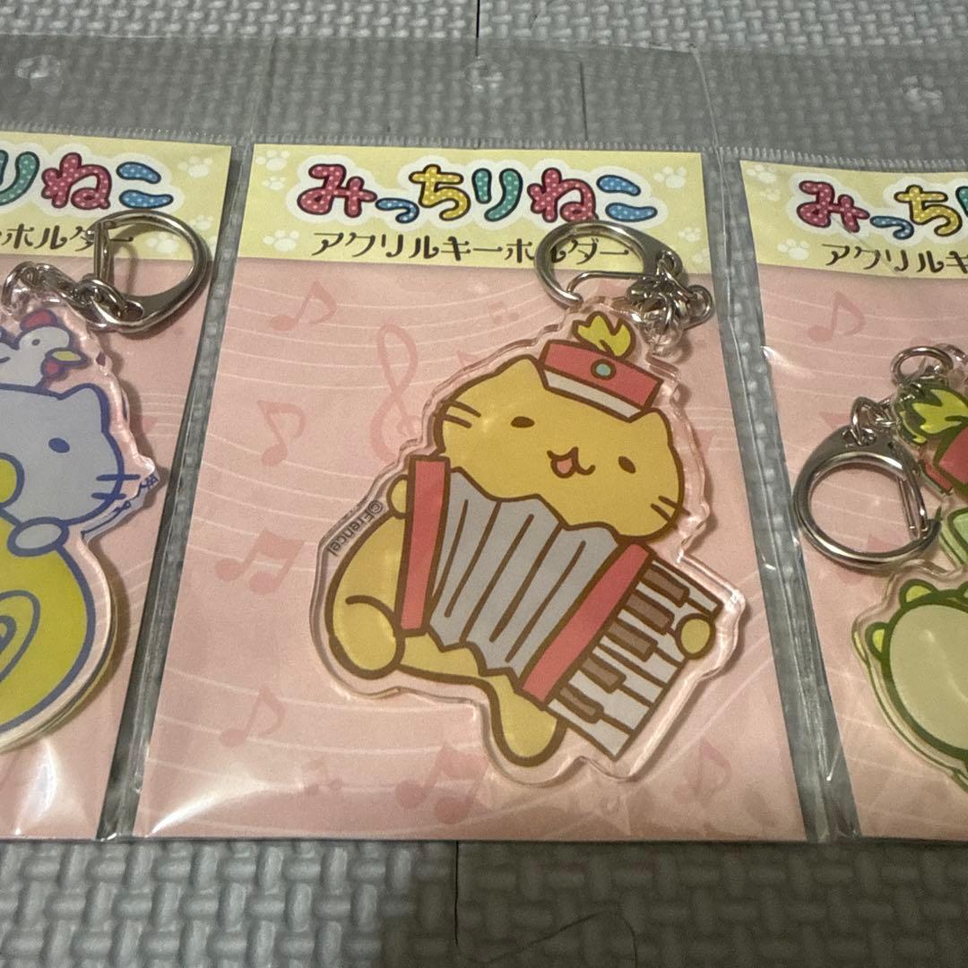 みっちりねこ　アクリルキーホルダー5点セット