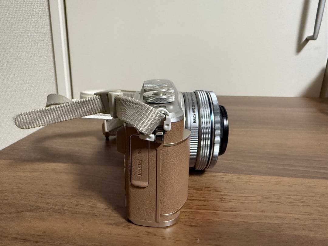 OLYMPUS PEN E-PL9 オリンパスミラーレスカメラ　望遠レンズ付き