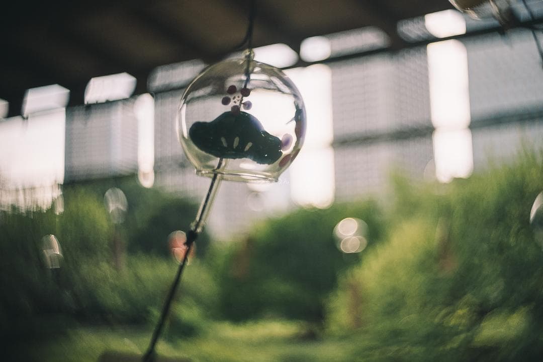 帝国の標準F1.9！Eマウント解禁！ZUNOW Cine 14mm F1.9