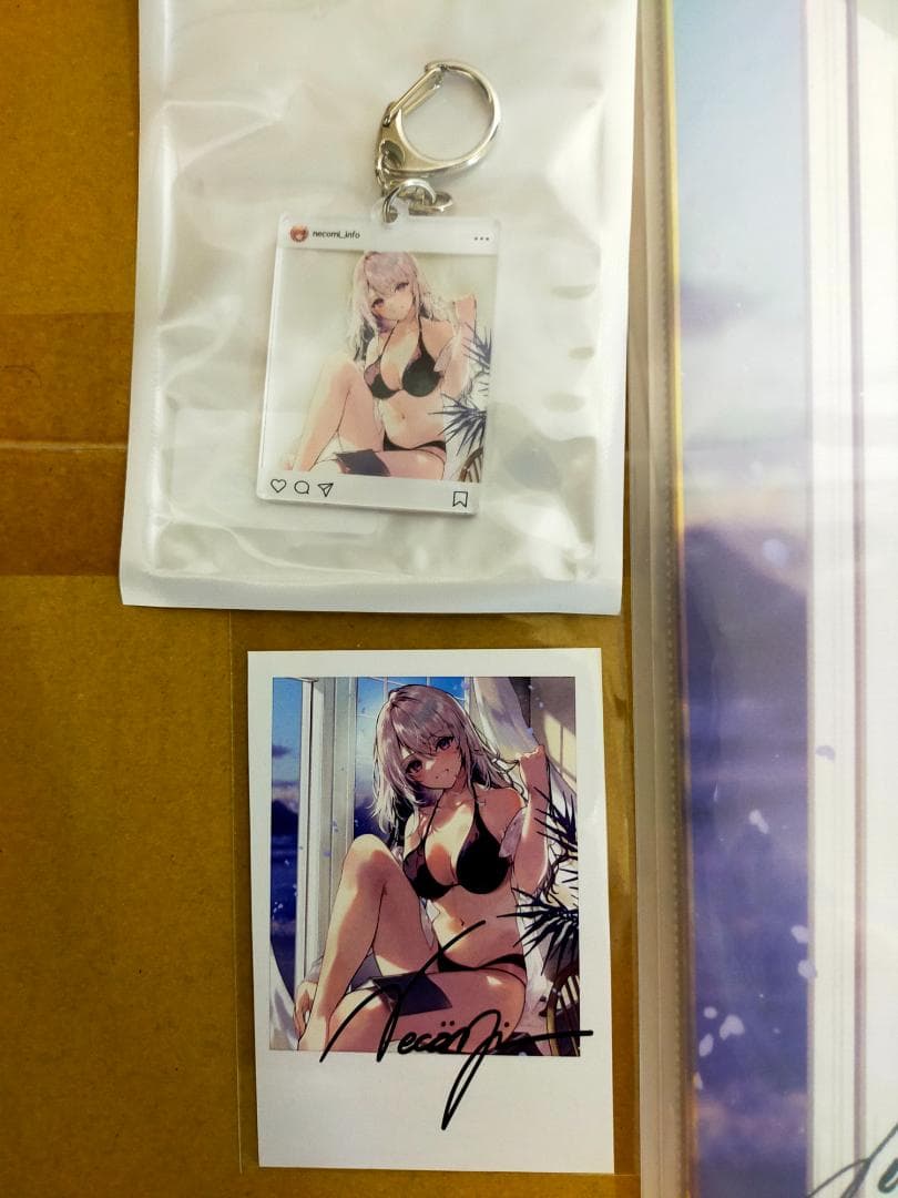 necömi 直筆サイン入り複製色紙 ワンストTOKIMEKI コレクション24