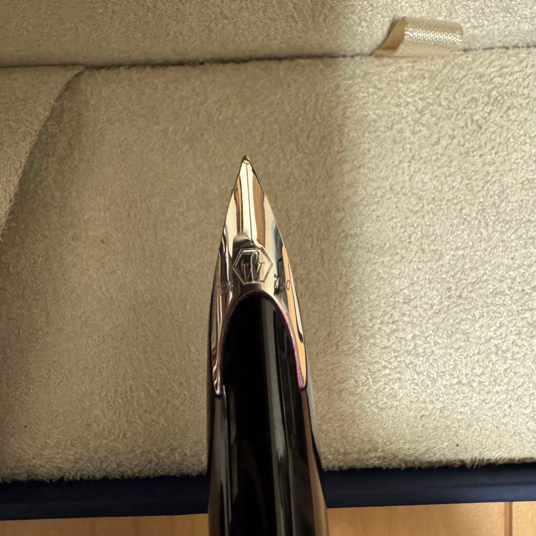 ウォーターマン カレン　波模様　デラックス スペシャルエディション 万年筆　F