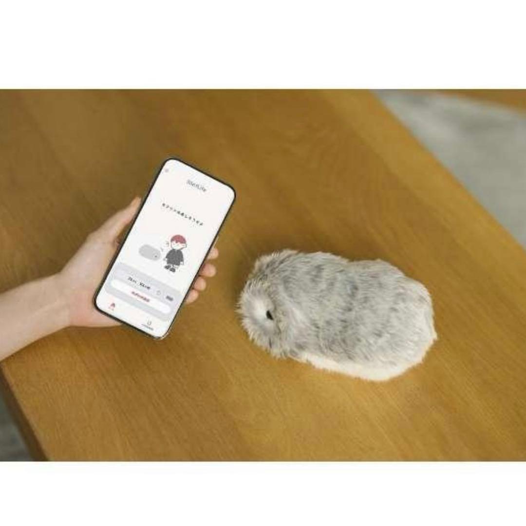 CASIO モフリン 新品未開封