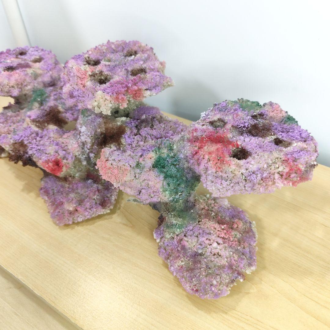 2個セット✐プラグ穴付き 新品 人工ライブロック 60cm海水水槽用 レプリカ