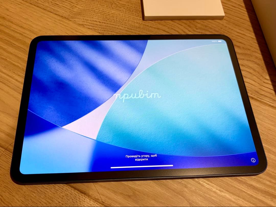 iPad Pro 11 M4 256GB WiFIモデル 98% 美品