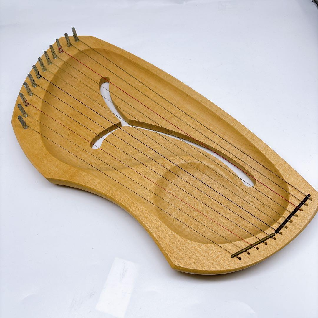 アウリス（AURIS）ライアーダイヤトニック１２弦