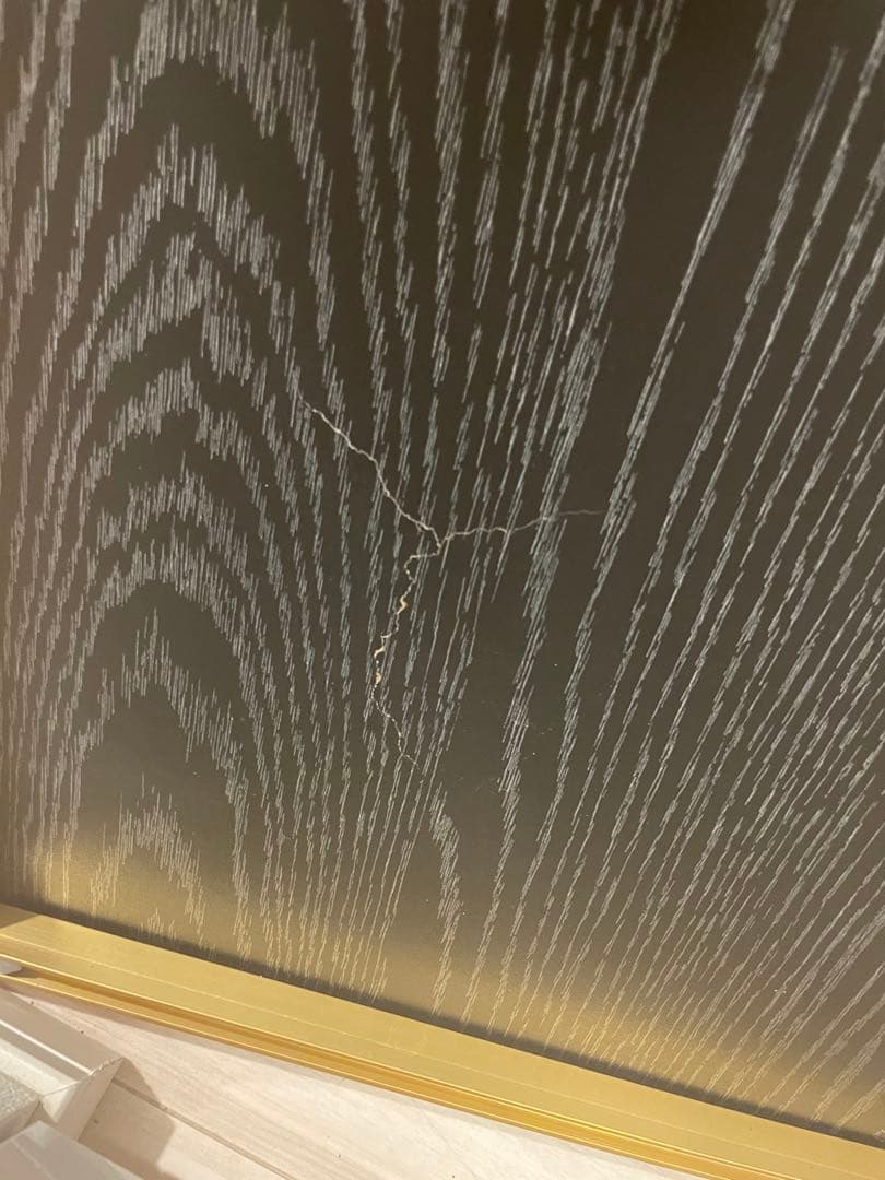 アートパネル　金魚