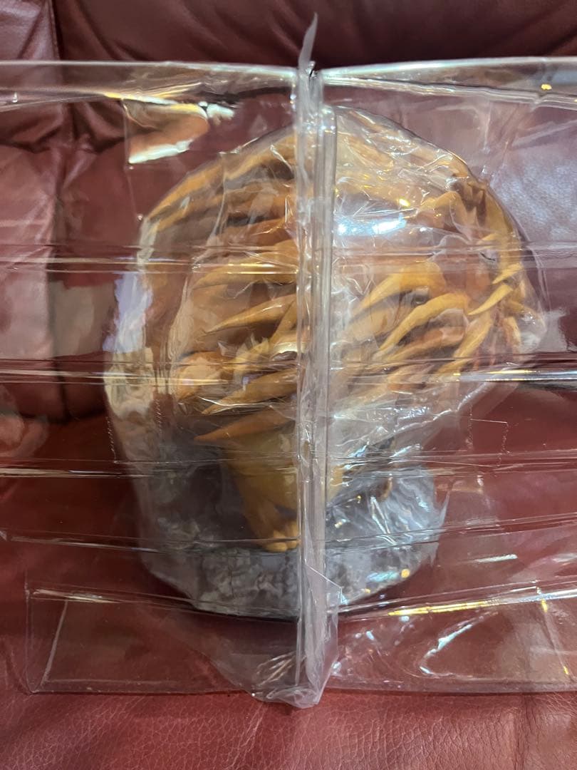 うしおととら　Blu-ray・DVD全巻購入特典　とらフィギュア