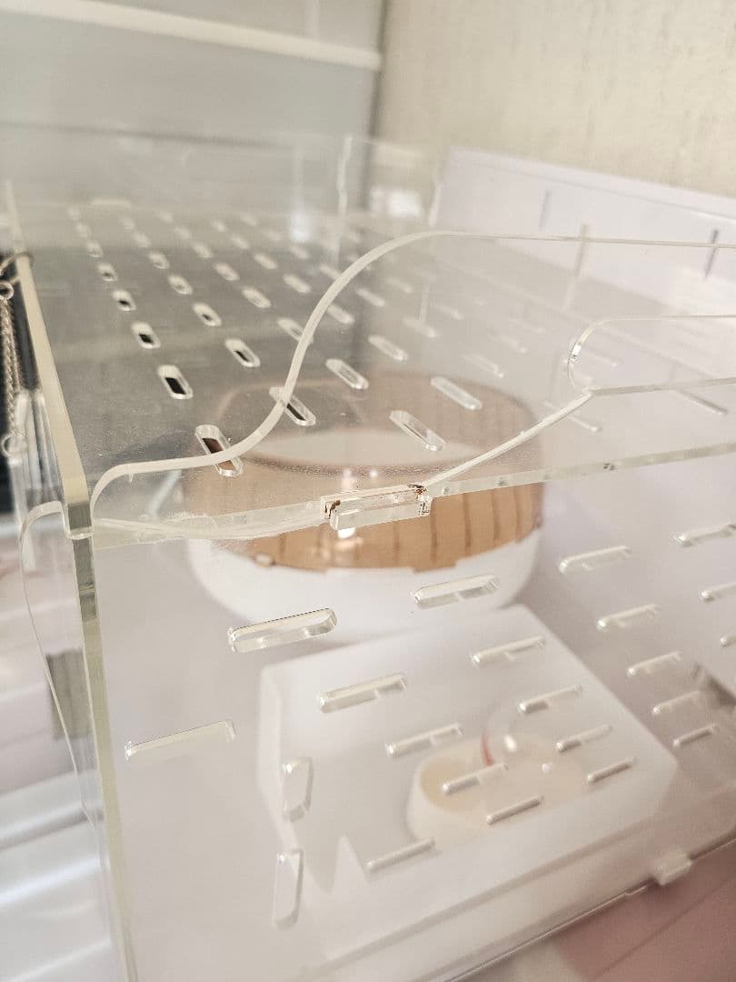 GEX アクリルケージ 回し車・給水器付き アクリルルーム510low