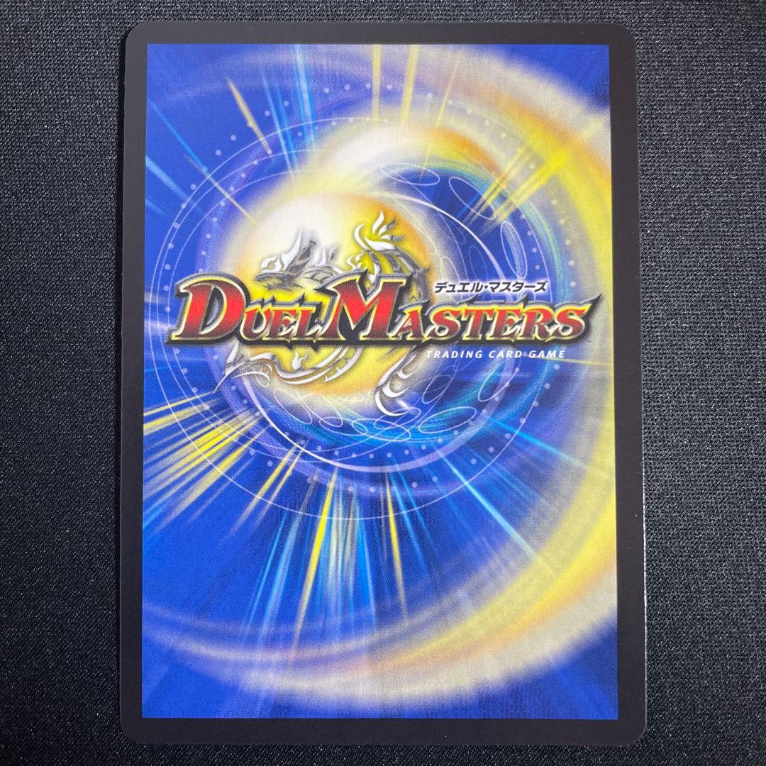 シャコガイル　A ①