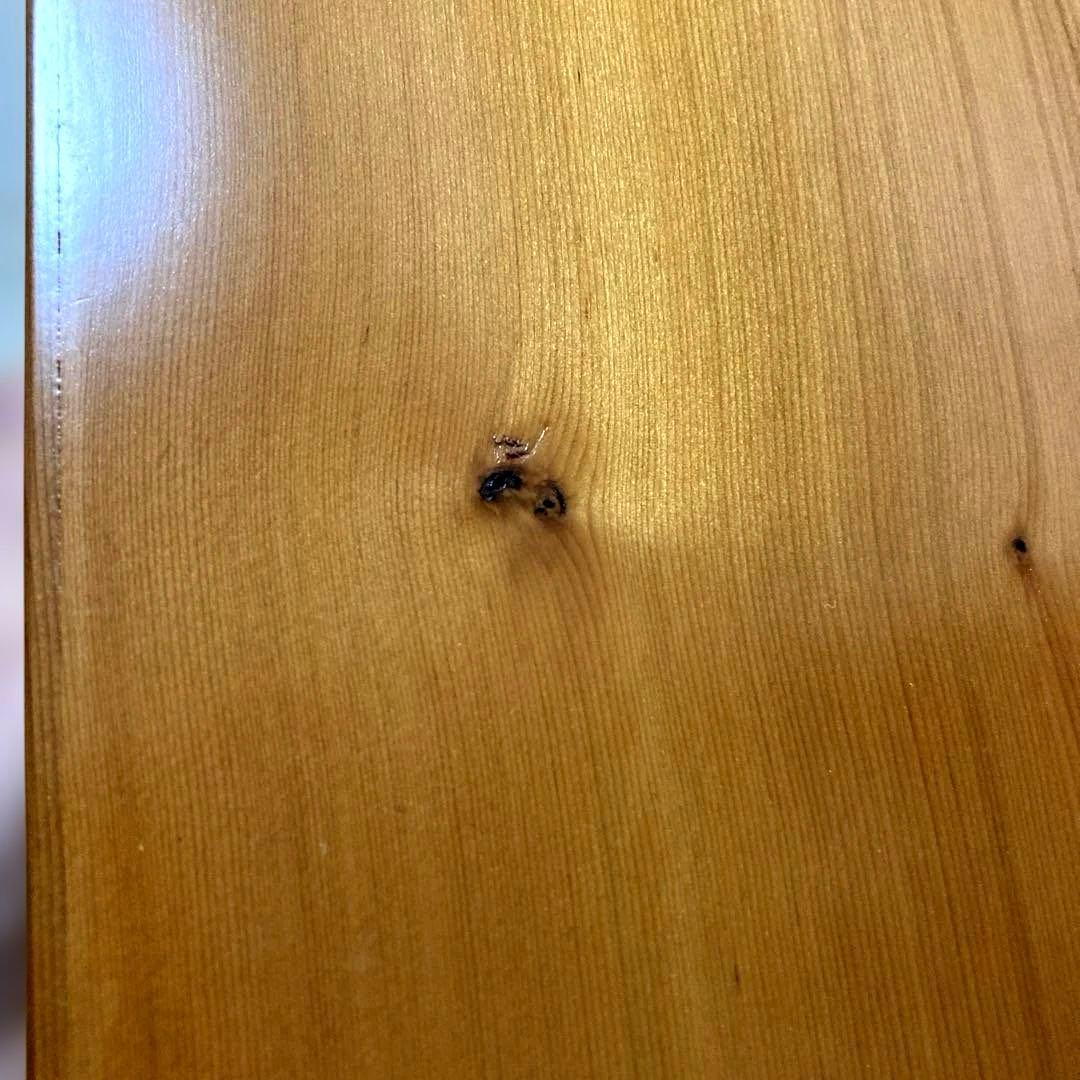 美品✨利休 茶箱✨美しい木目　艶あり　面無し　外箱有り。