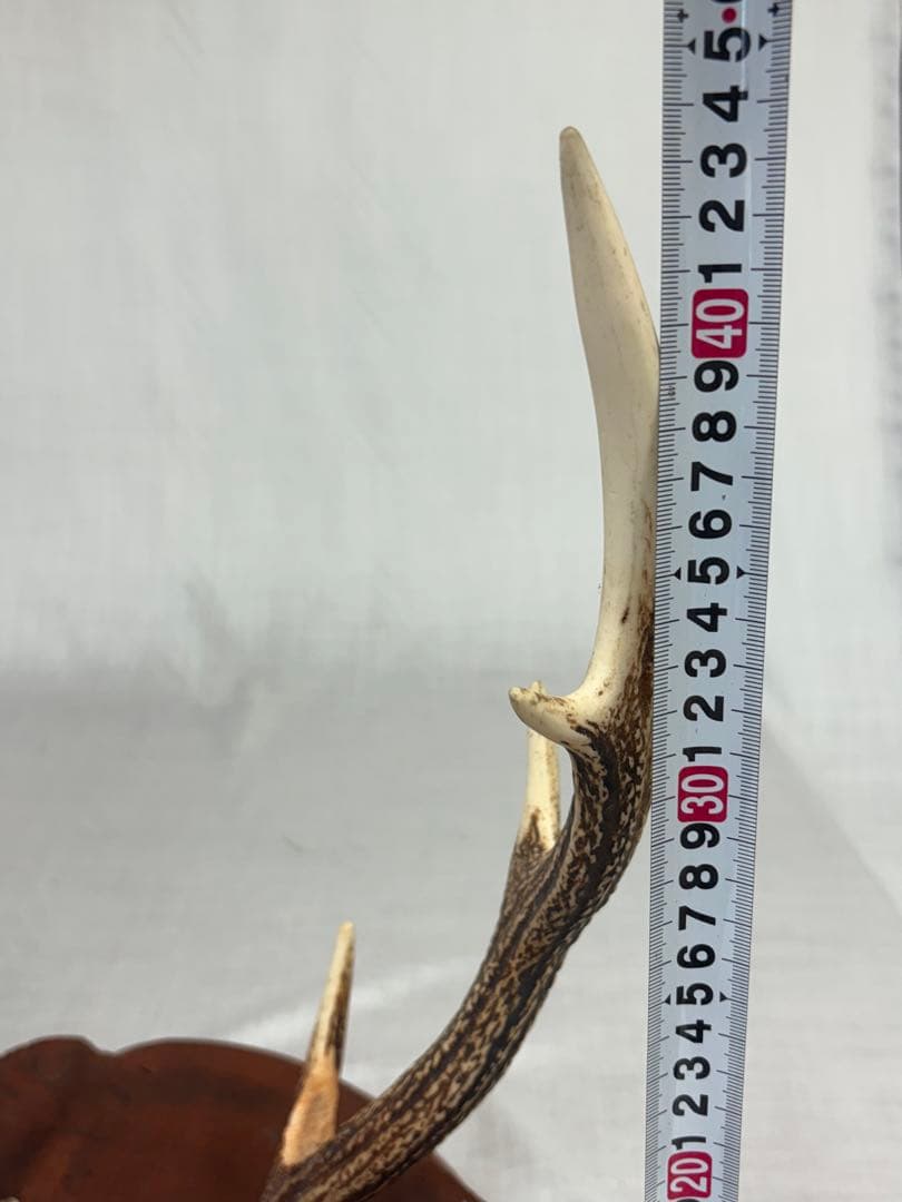 刀掛け 刀台 武具 刀置き インテリア 日本刀 古美術 骨董 アンティーク