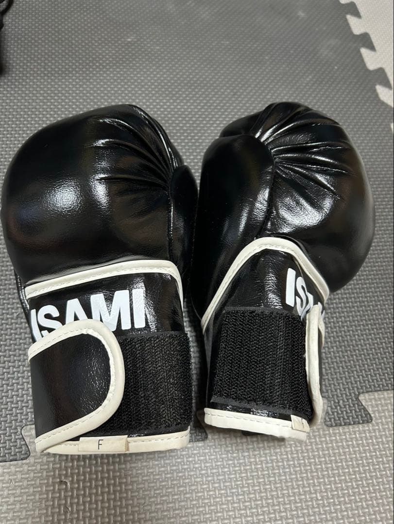 ISAMIイサミパウンドグローブ総合格闘技