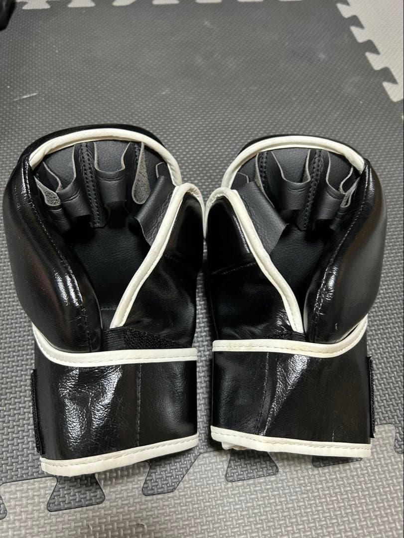 ISAMIイサミパウンドグローブ総合格闘技