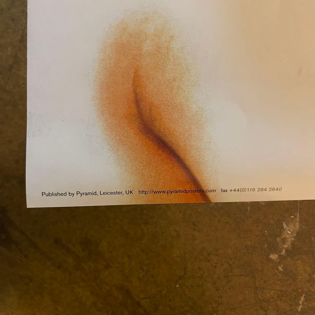 00s デッドストック DAVID BOWIE 大判ポスター