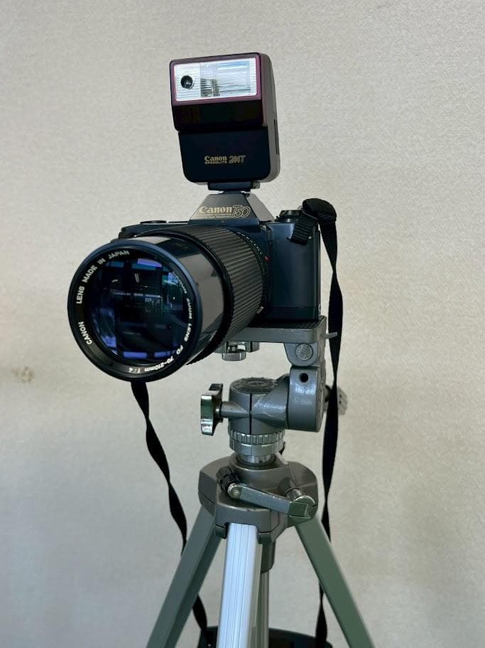 Canon T50 フィルムカメラセット