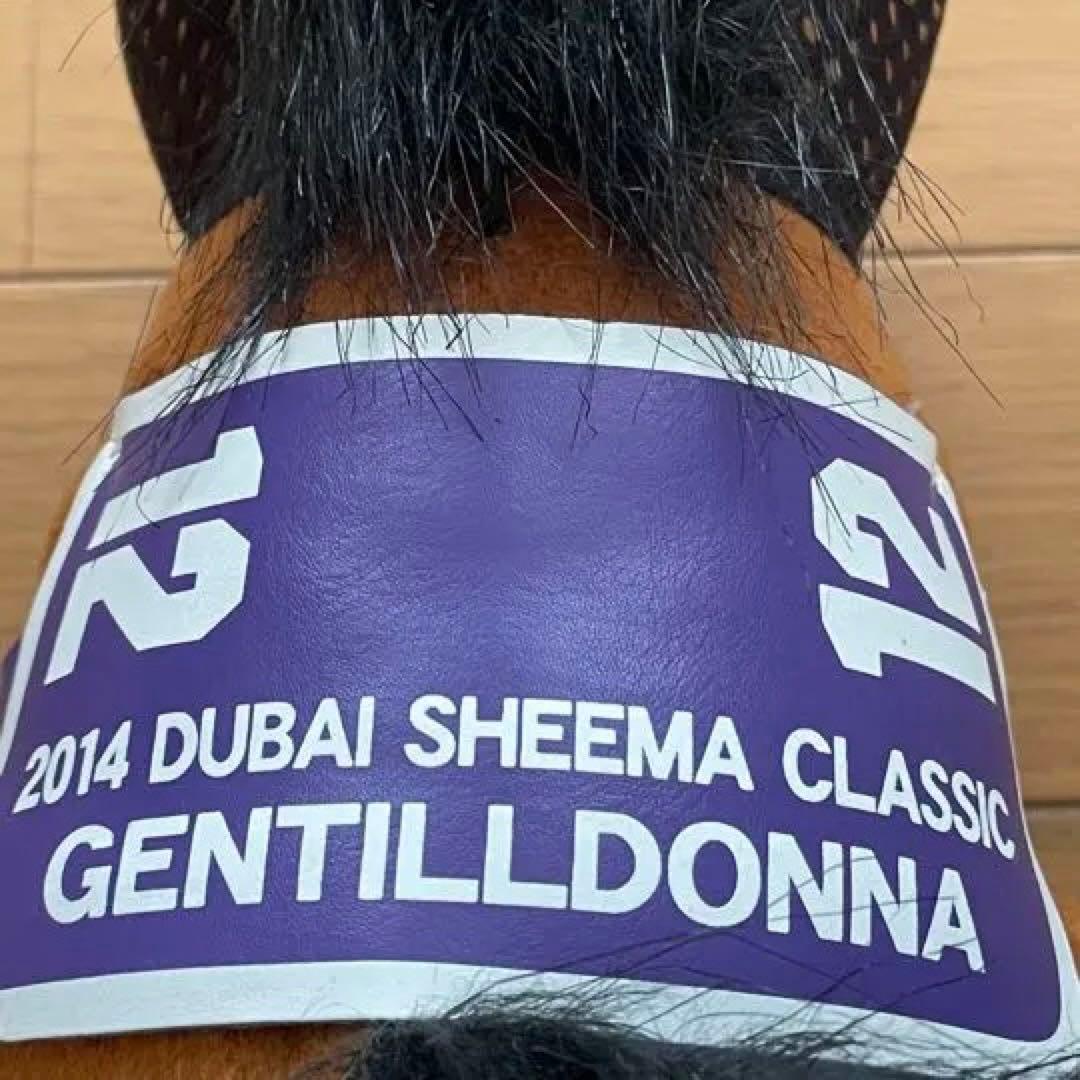【ジェンティルドンナ/2014 DUBAI SHEEMA CLASSIC】
