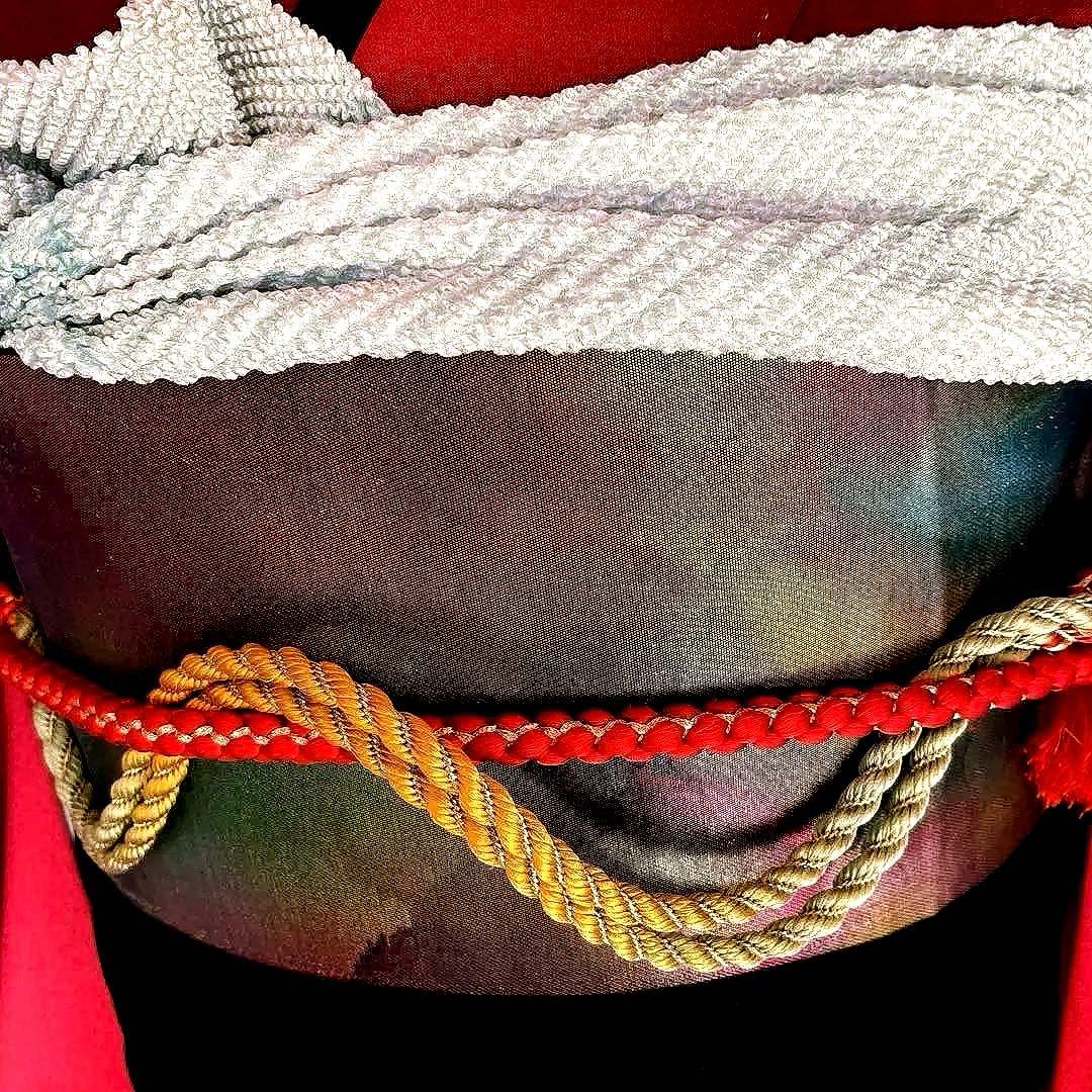 振袖フルセット　手描き友禅　成人式振袖　振袖　裄丈67 コシノブランド