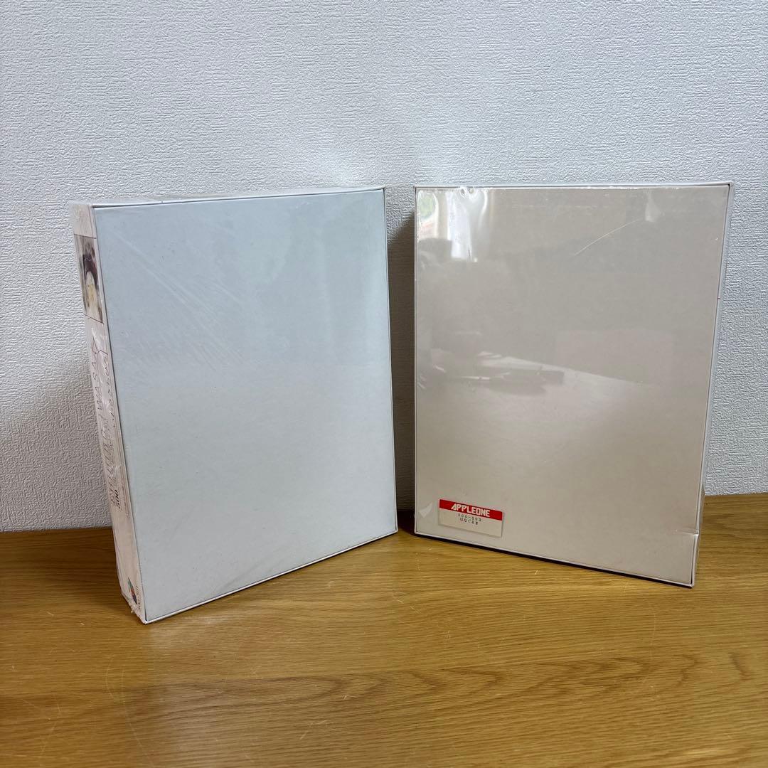 未使用いわさきちひろ　ジグソーパズル500ピース　はなぐるまバラ飾りの帽子の少女