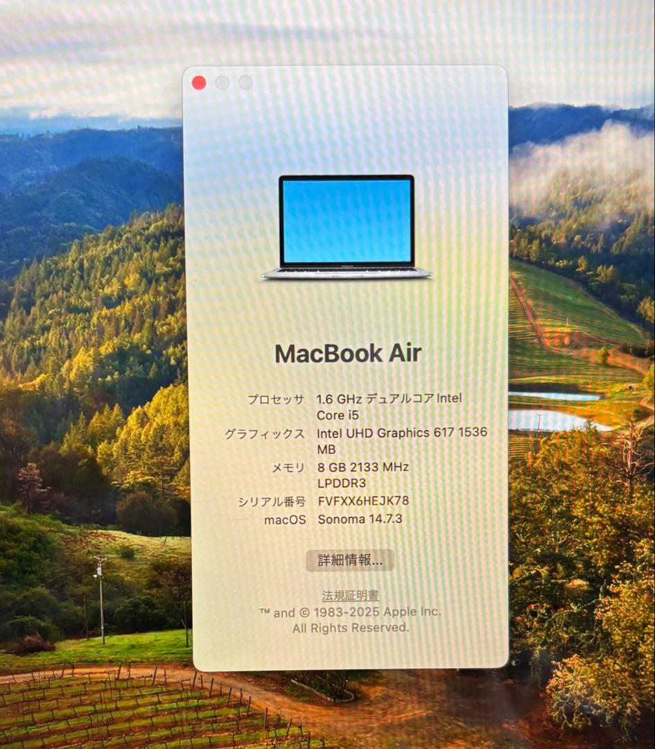 MacBook Air 13インチ 2018 /8GB /256GB 状態良好