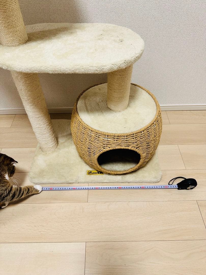 Mau キャットタワー シャルマン