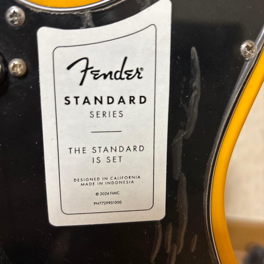 ギター Fender Standard Telecaster
