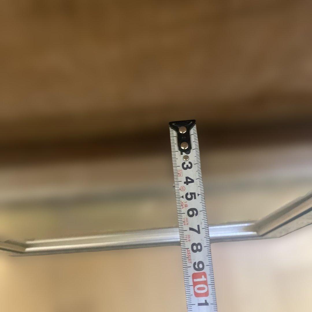 油彩　油絵　絵画　プルーン　果物　洋画　静物画　額縁　シルバーフレーム　f4