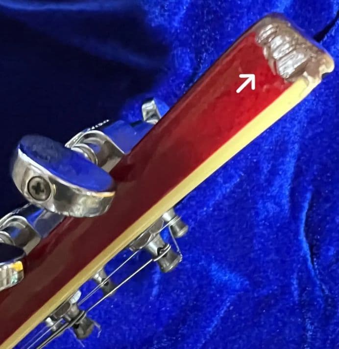 fernandes＊Ravelle Dx