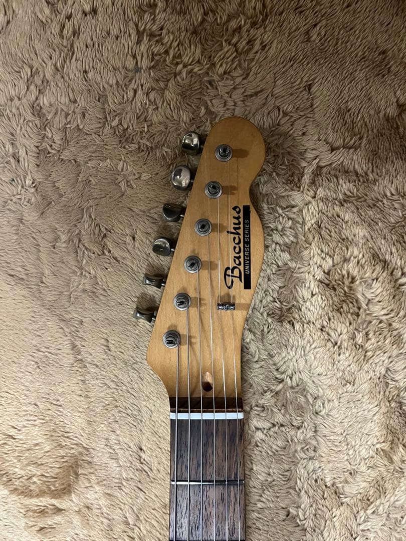 【調整済】Bacchus バッカス　テレキャスター　エレキギター