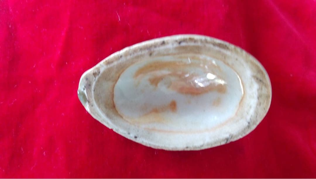 古伊万里　鳥青磁香合