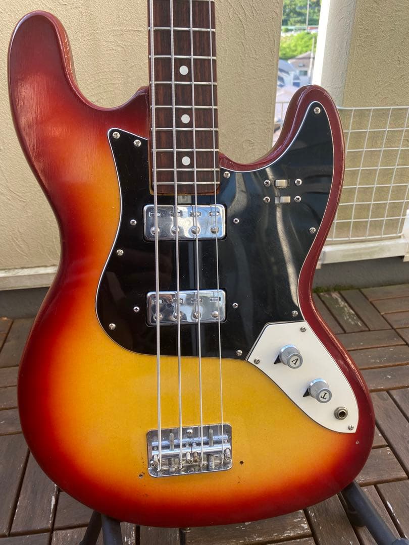 VISION ソリッドベース(ビザールギター)