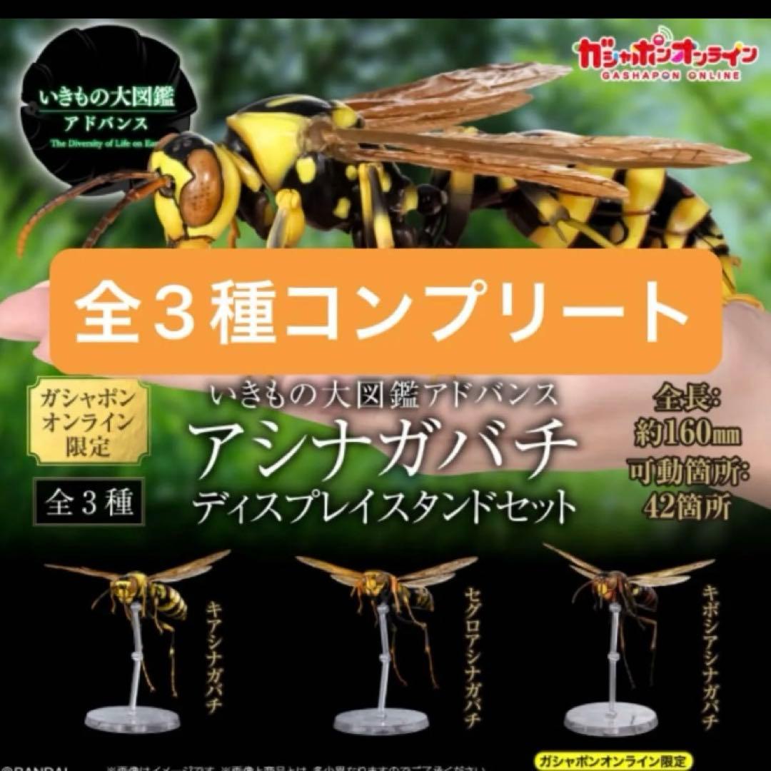 いきもの大図鑑アドバンス　アシナガバチ　フィギュア　ガチャガチャ　ガチャ