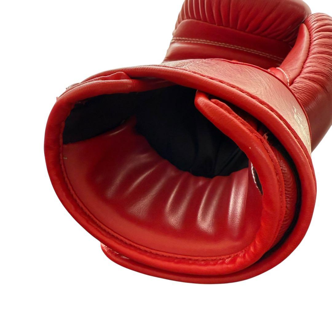 WINDY キックボクシンググローブ12オンス レッド